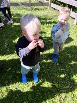 Na obisku pri čebelicah (5)